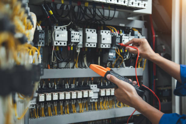 Best Ceiling Fan Installation Electrician  in Sauk Centre, MN