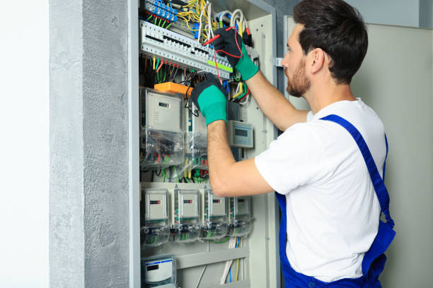 Best Residential Electrician Services  in Sauk Centre, MN