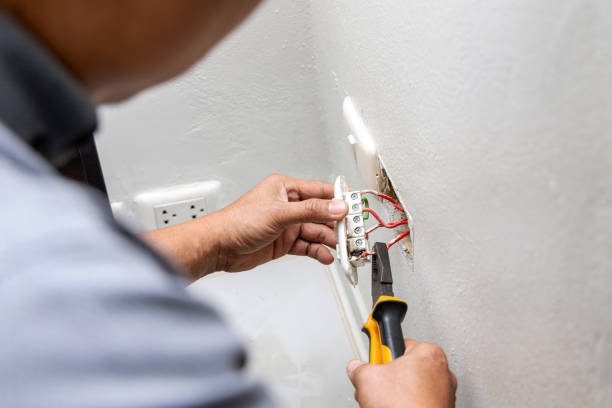 Best Electrical Upgrades for Homes  in Sauk Centre, MN